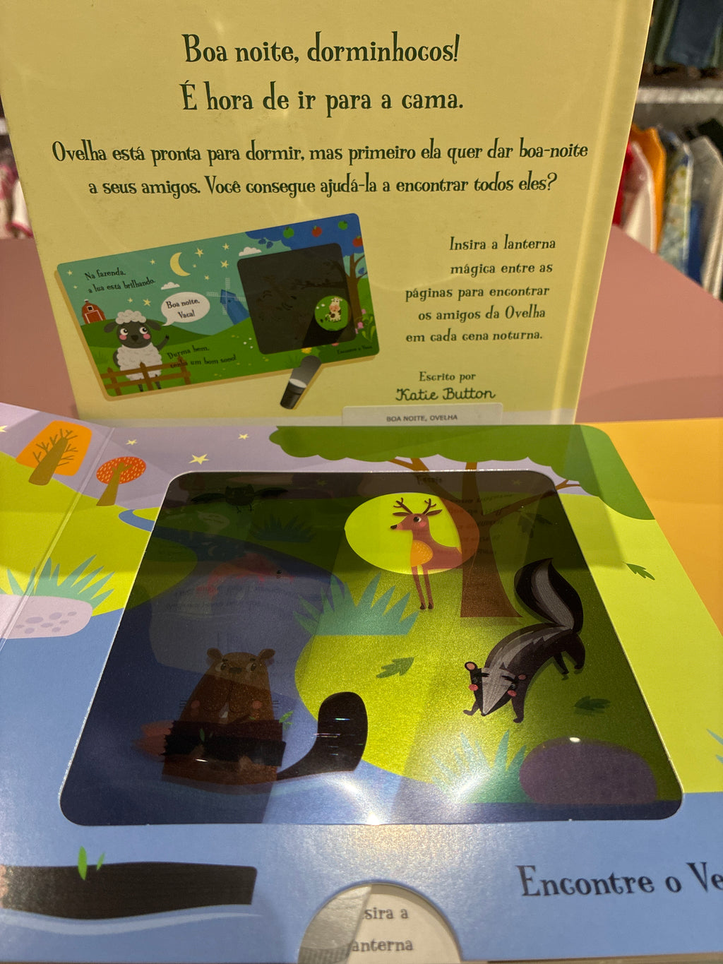 Meu livro da lanterna mágica