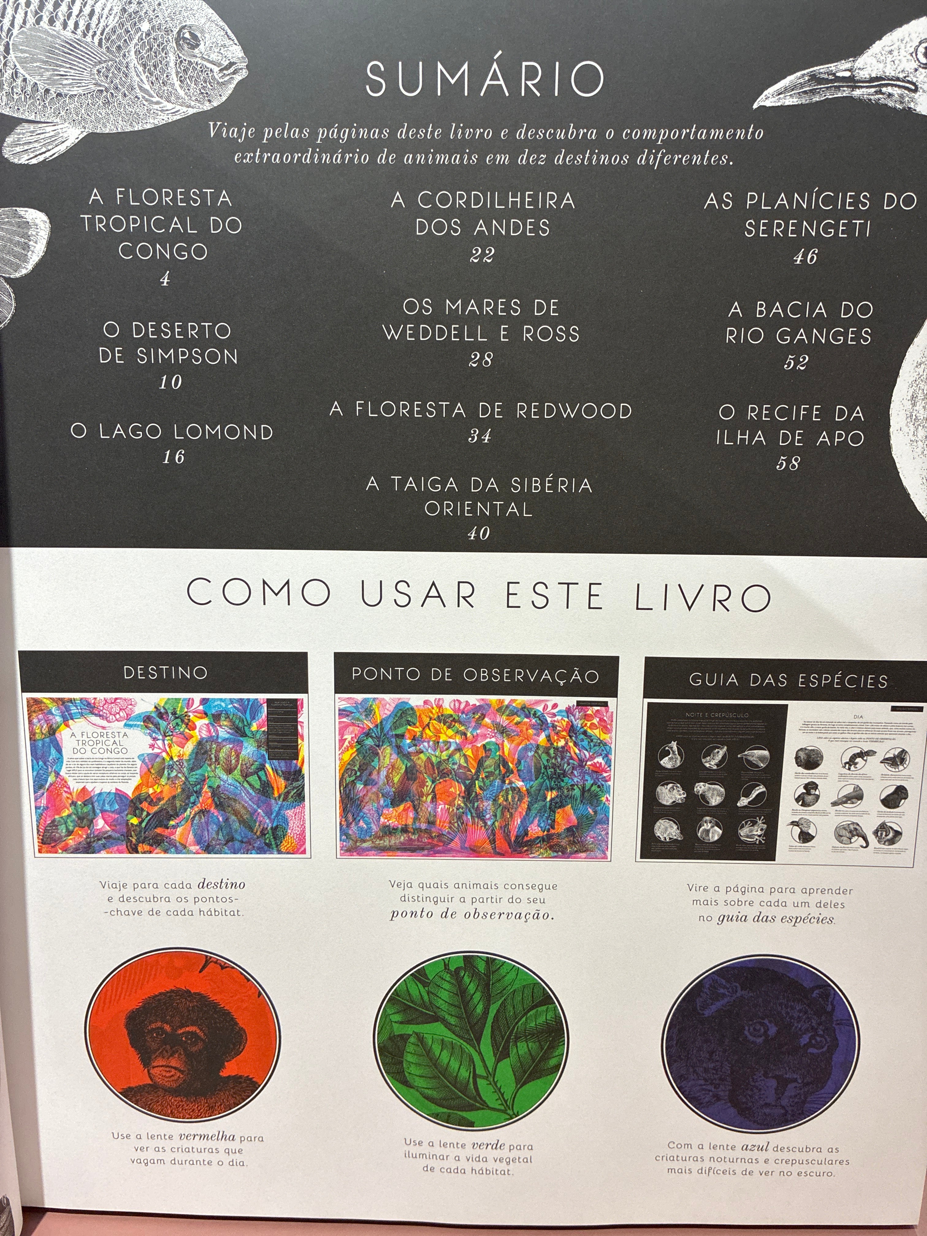 Animágicos