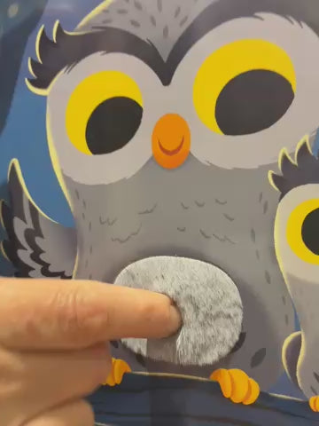 Livro para Bebês Toque e Escute (USB)