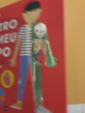 Por dentro do meu corpo